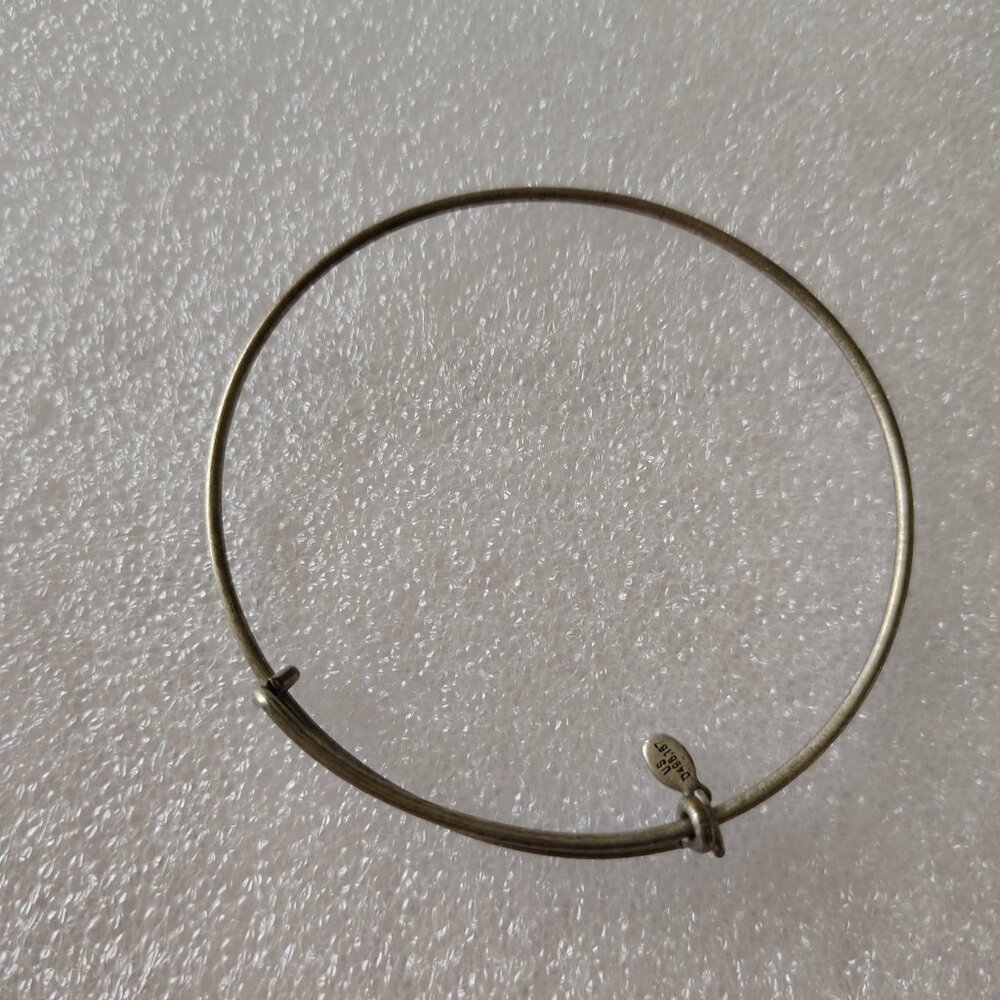Alex and Ani Add A Charm Silver Bangle  434